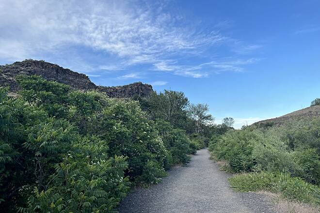 Cowiche Canyon East