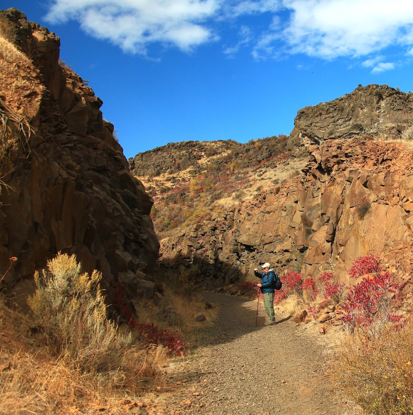 Cowiche Canyon Trails